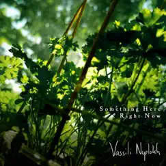 Something Here Right Now - Single by Vassili Neplokh album reviews, ratings, credits