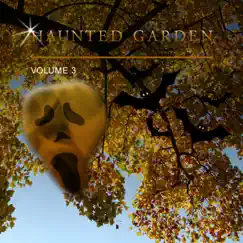 Vgm-Haunted Forest Spooky Music Song Lyrics