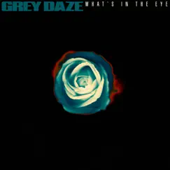 What's In The Eye - Single by Grey Daze album reviews, ratings, credits