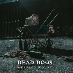 Dead Dogs Song Lyrics