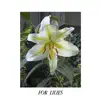 For Lilies (feat. Lola Gomes) - EP album lyrics, reviews, download