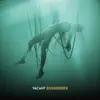 Vacant Surrender - Single album lyrics, reviews, download