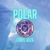 Polar - Single album lyrics, reviews, download