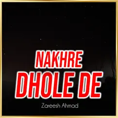 Nakhre Dhole De - Single by Zareesh Ahmad album reviews, ratings, credits