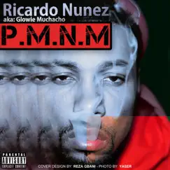 P.M.N.M (PowerMovinNManueverin) - Single by Ricardo Nunez album reviews, ratings, credits