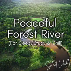 Peaceful Forest River - Part 20 Song Lyrics
