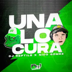 Una Locura - Single by Dj Reptile album reviews, ratings, credits