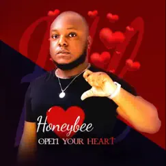 Open Your Heart - Single by Honeybee album reviews, ratings, credits