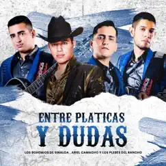 Entre Platicas y Dudas - Single by Los Bohemios de Sinaloa & Ariel Camacho album reviews, ratings, credits