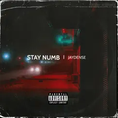 Stay Numb [Bonus Track] [Slowed] Song Lyrics
