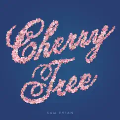 Cherry Tree / Roses - Single by Sam Evian album reviews, ratings, credits