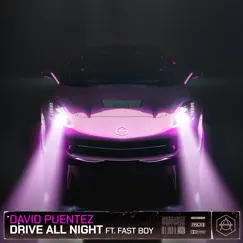 Drive All Night - Single by David Puentez & FAST BOY album reviews, ratings, credits