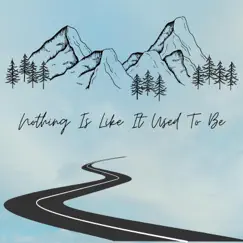 Nothing Is Like It Used to Be - Single by Josh Washam album reviews, ratings, credits