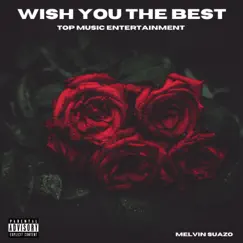 Wish You the Best - Single by Melvin Suazo album reviews, ratings, credits