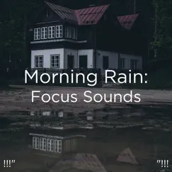 Rain to Fall Asleep Song Lyrics