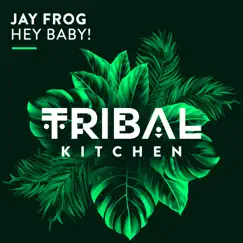 Hey Baby! - Single by Jay Frog album reviews, ratings, credits