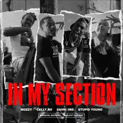 In My Section (feat. Saviii 3rd & $tupid Young) Song Lyrics
