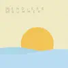 Endless Summer - Single album lyrics, reviews, download