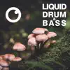Liquid Drum & Bass Sessions 2020 Vol 31 album lyrics, reviews, download