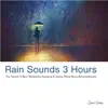 3 Hours Rain Sounds - Nature Sound for Relaxation, Deep Sleep album lyrics, reviews, download