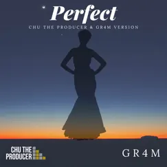 Perfect (feat. Gr4m) - Single by Chu the Producer album reviews, ratings, credits