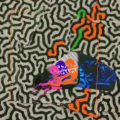 Tangerine Reef by Animal Collective album reviews, ratings, credits