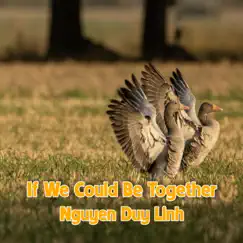 If We Could Be Together - Single by Nguyen Duy Linh album reviews, ratings, credits