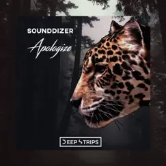 Apologize - Single by SounDDizer album reviews, ratings, credits