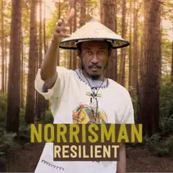 Resilient - Single by Norrisman album reviews, ratings, credits