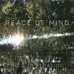 Peace of Mind (Extended) - Single by Nico Efstratiou album reviews, ratings, credits