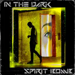 In the Dark - Single by Spirit Bomb album reviews, ratings, credits