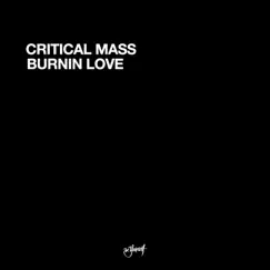 Burnin Love - EP by Critical Mass album reviews, ratings, credits