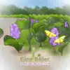 Flor de Aguapé - Single album lyrics, reviews, download
