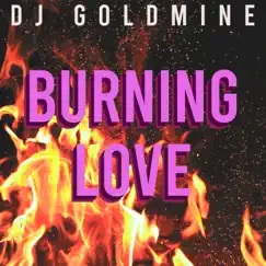 Burning Love (Radio Edit) Song Lyrics