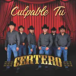 Culpable Tú - Single by Certero album reviews, ratings, credits