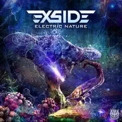 Electric Nature - Single by X-Side album reviews, ratings, credits
