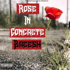 Rose in Concrete (feat. Breesh) - EP by Dymond Cloud Music album reviews, ratings, credits