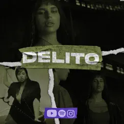 Delito (Remix) - Single by Lion DJ & Dj Nacho album reviews, ratings, credits