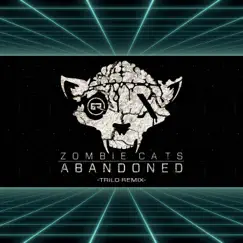 Abandoned (Trilo Remix) Song Lyrics