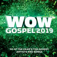 Wow Gospel 2019 by Various Artists album reviews, ratings, credits