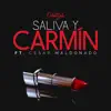 Saliva y Carmín - Single album lyrics, reviews, download