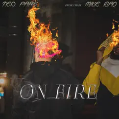 On Fire - Single by Ted Park & Mike Gao album reviews, ratings, credits