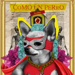 Como Un Perro (feat. Beno Genitallica) Song Lyrics