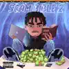 Scam Bible 2 - Single album lyrics, reviews, download