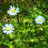Grüne Wiese - Single album lyrics, reviews, download