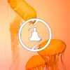 Agent Orange - Single album lyrics, reviews, download
