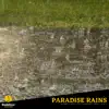 Sparse Rain song lyrics