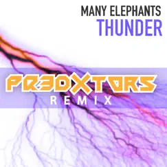 Thunder (feat. Wickline & FLVZ) [Remix] Song Lyrics