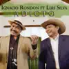 Adicto (feat. Luis Silva) - Single album lyrics, reviews, download