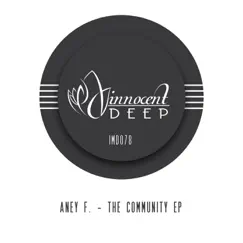 The Community - Single by Aney F. album reviews, ratings, credits